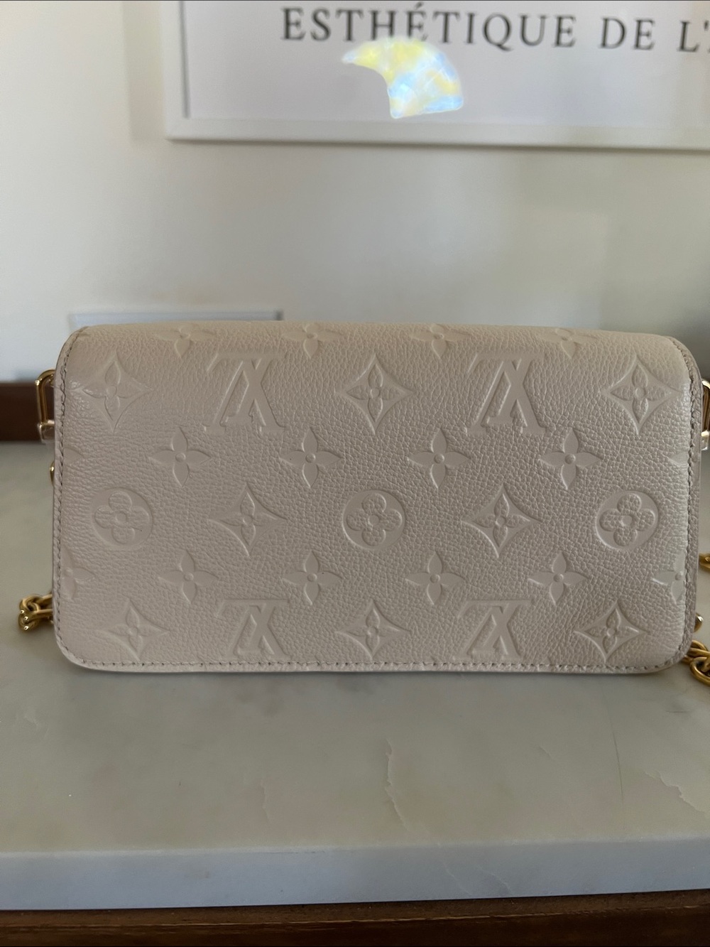 Louis Vuitton Genuine Wallet On Chain Métis in Crème - Picture 4 of 15